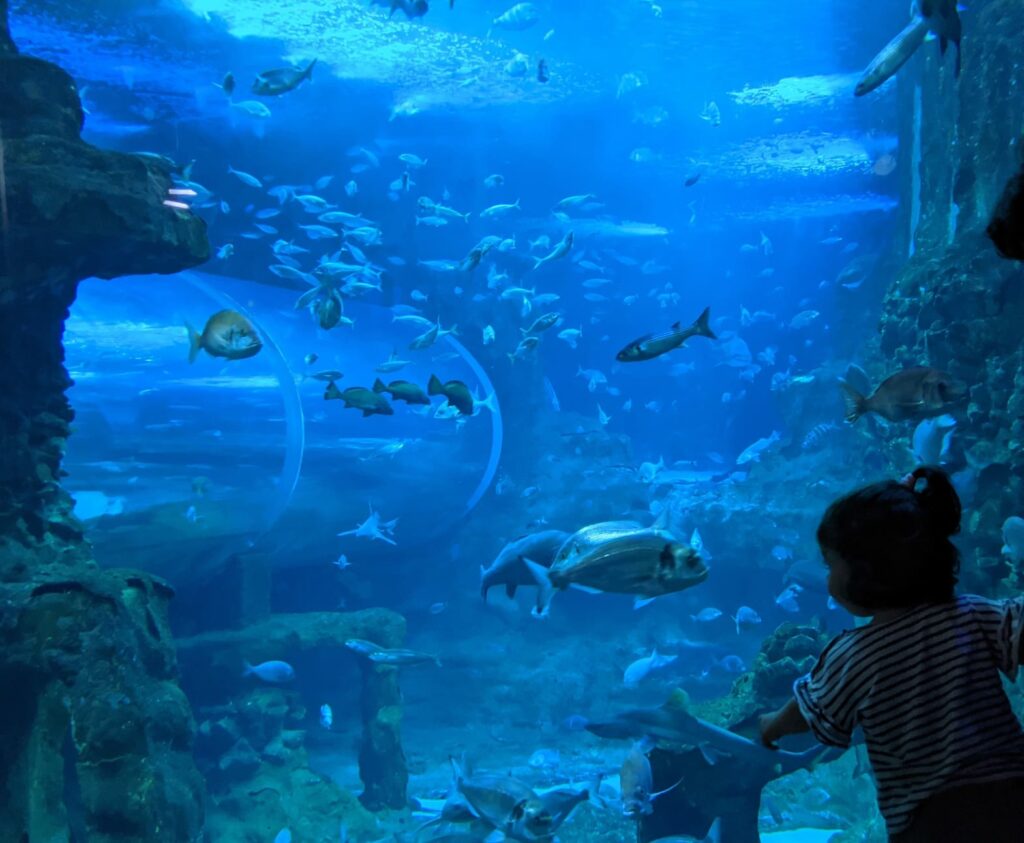 San Sebastian aquarium