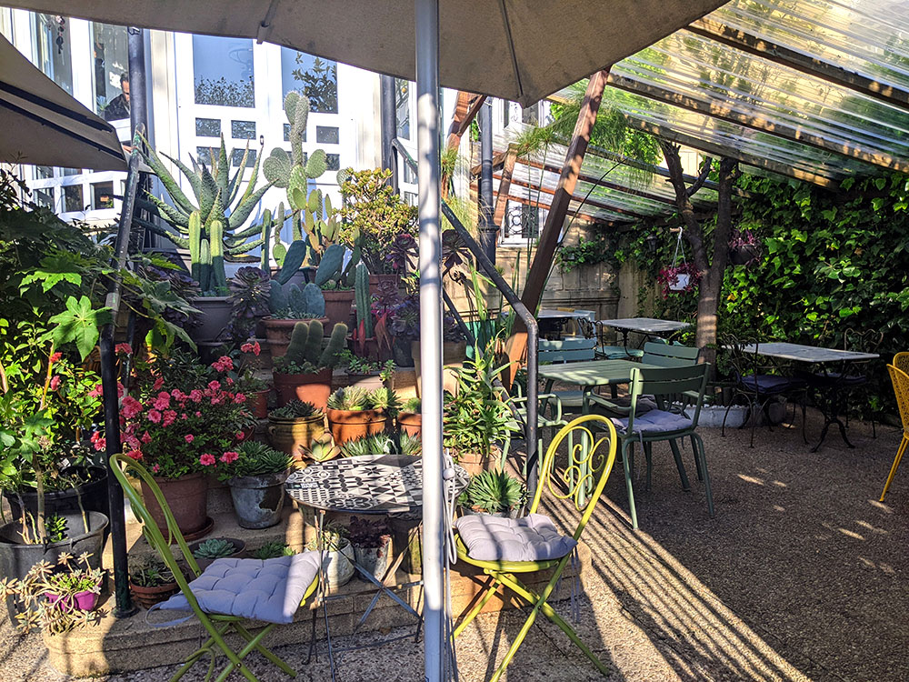 La terraza exterior con plantas y flores del Kafe Botanika de San Sebastián