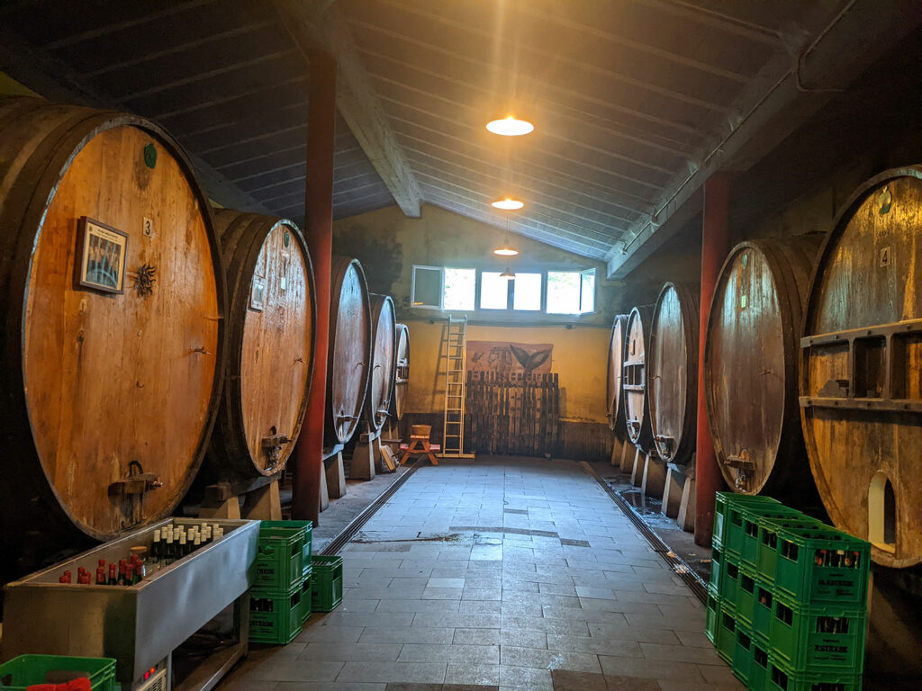 Barrels in a Basque Cider House
