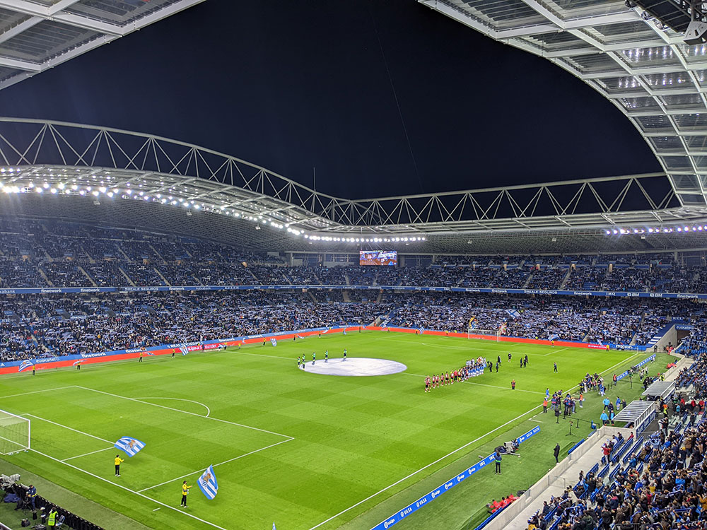 The Anoeta Stadium (Reale Arena) pitch
