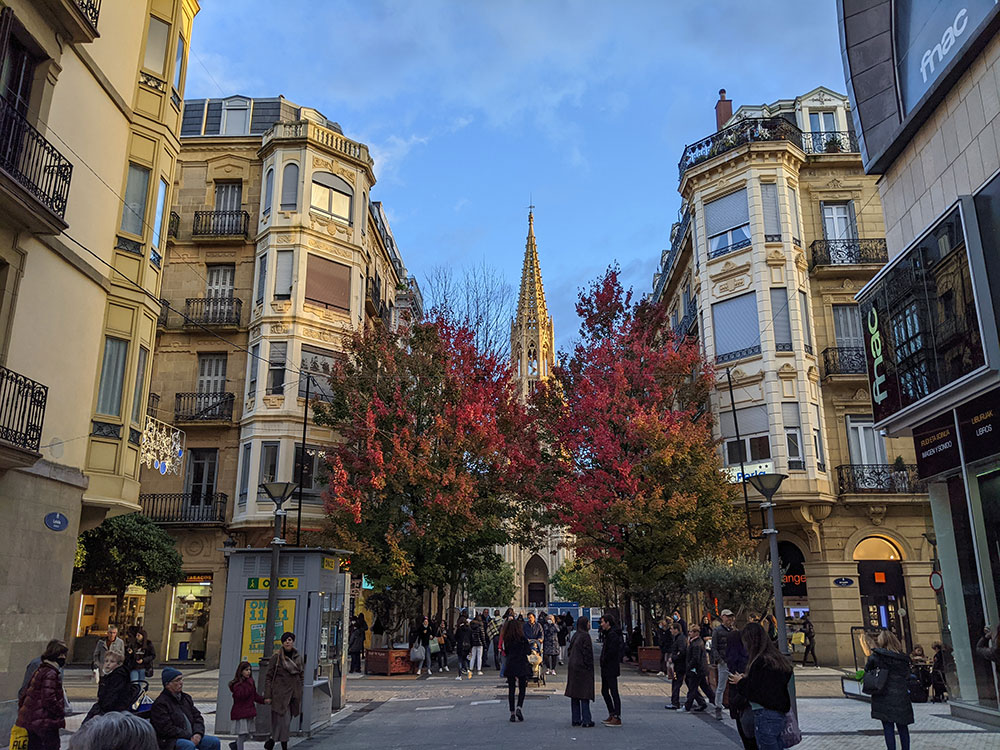 the spire of the buen pastor cathedral sticking out between the trees on an nice autumnal day